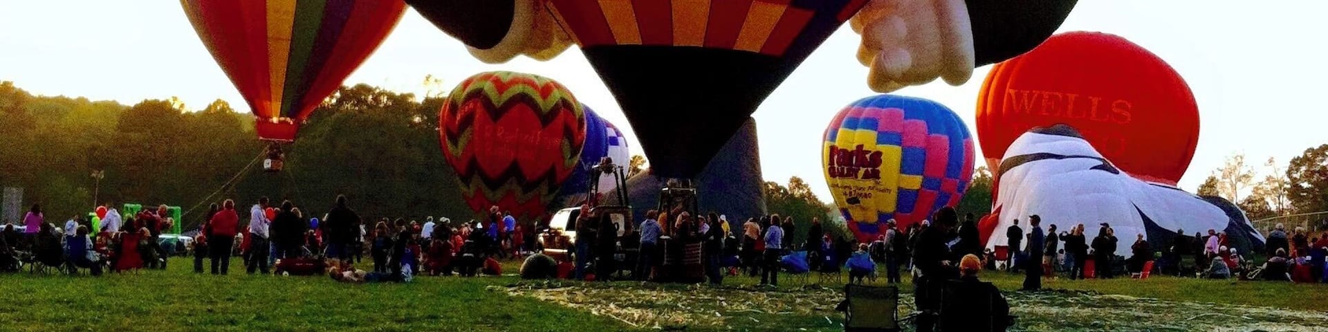 A field with several colorful hot air balloons.