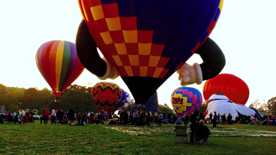 A field with several colorful hot air balloons.