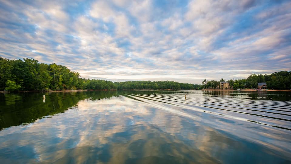 A calm river reflecting the sky, surrounded by dense greenery and distant buildings.