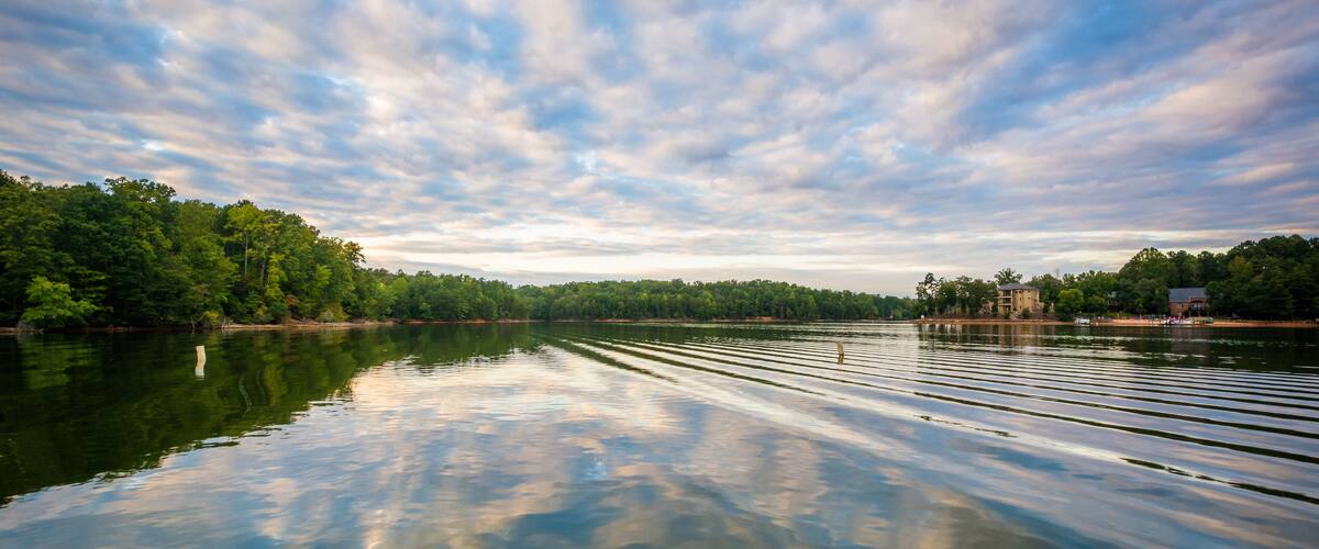 A calm river reflecting the sky, surrounded by dense greenery and distant buildings.