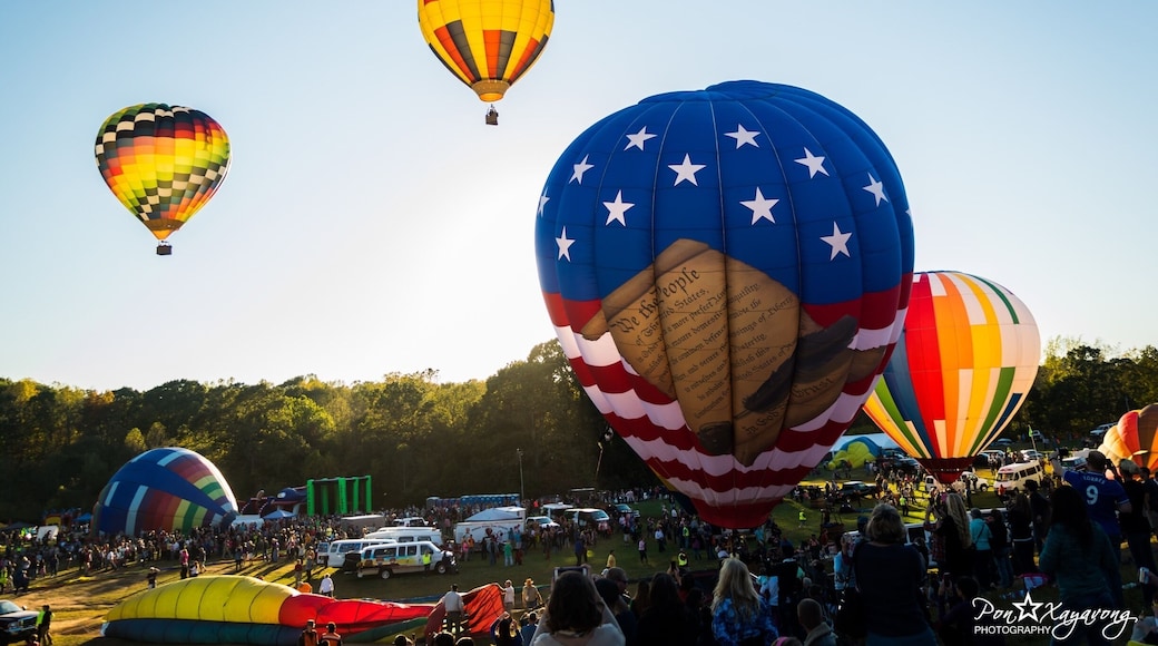 Statesville balloons show 2015