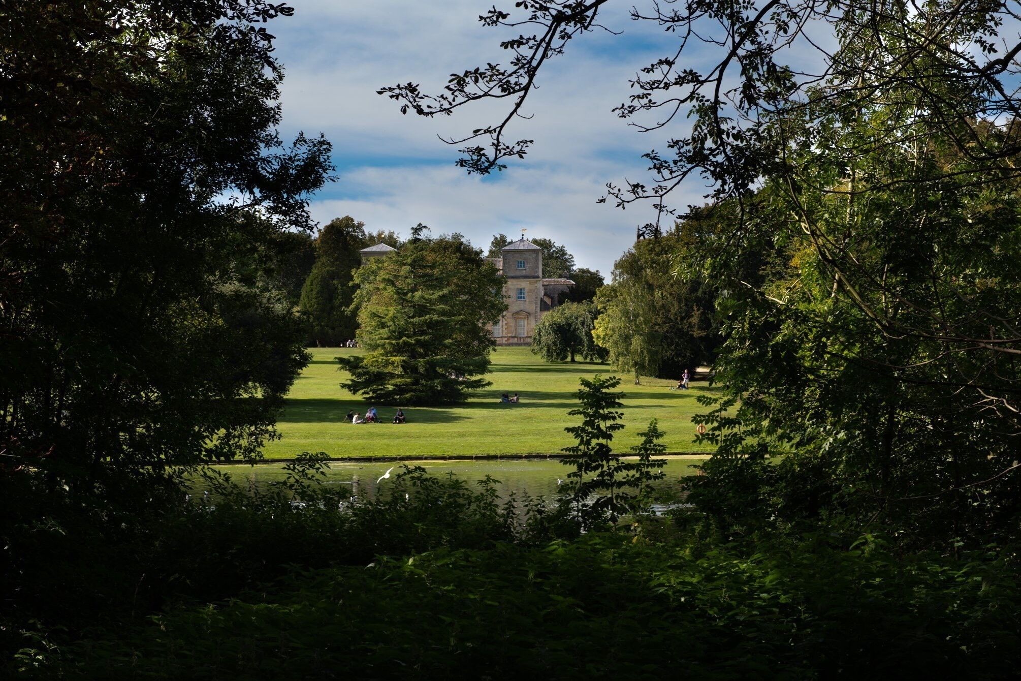 Ein Park mit einer großen Wiese, einem Teich und einem Gebäude mit einem Turm in der Ferne.
