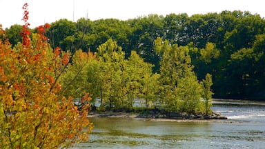 Stillwater which includes tranquil scenes, autumn leaves and a river or creek