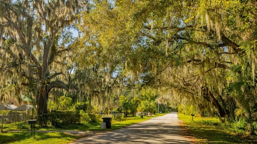 East Palatka featuring a park