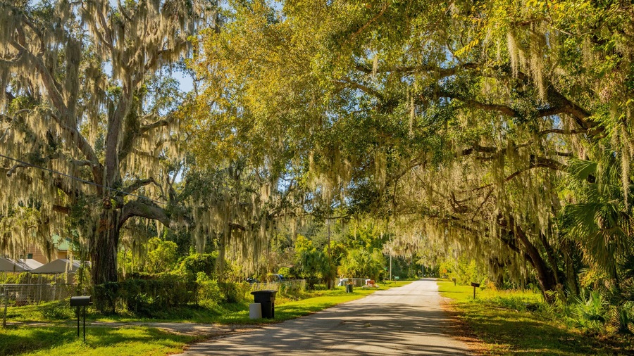 East Palatka featuring a park