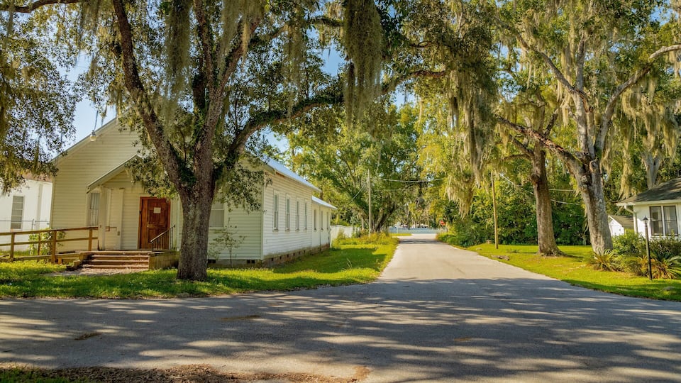A quiet street lined with white houses and large trees with Spanish moss.