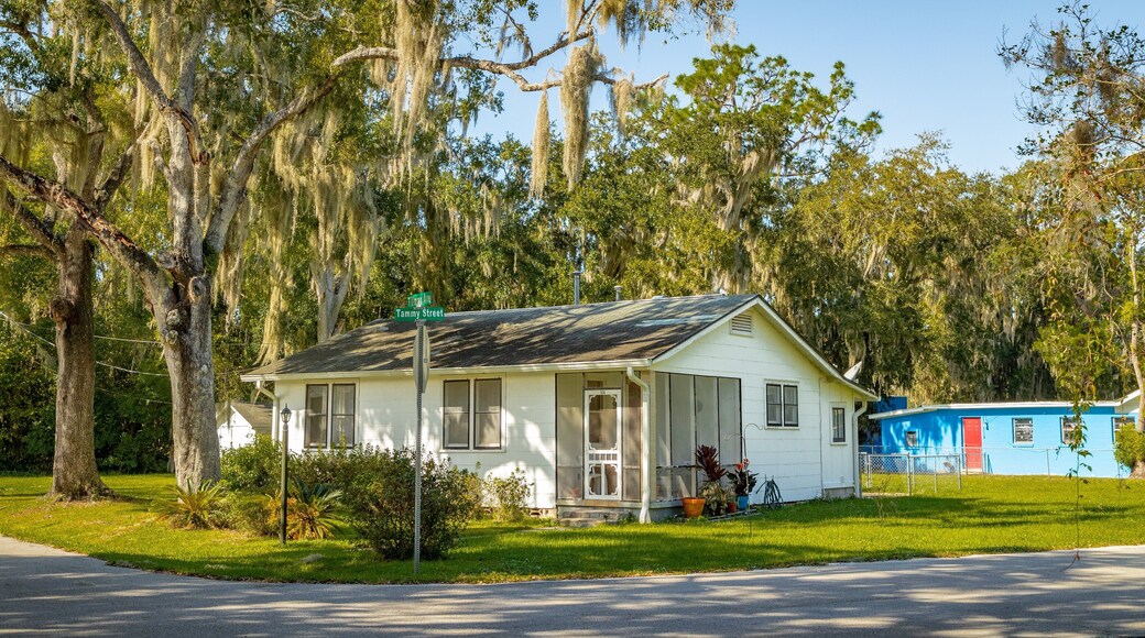 East Palatka showing a house