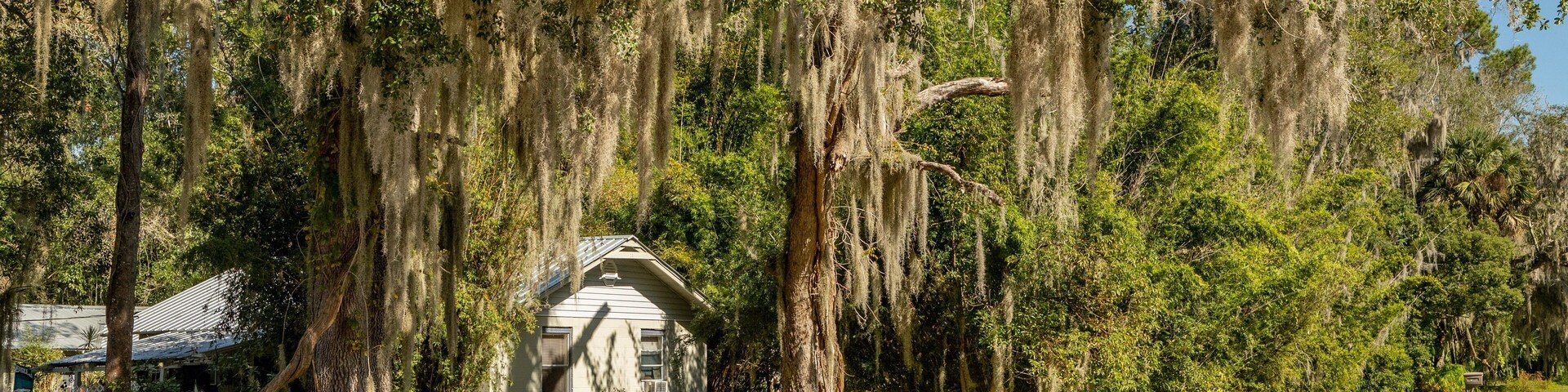 East Palatka showing a house