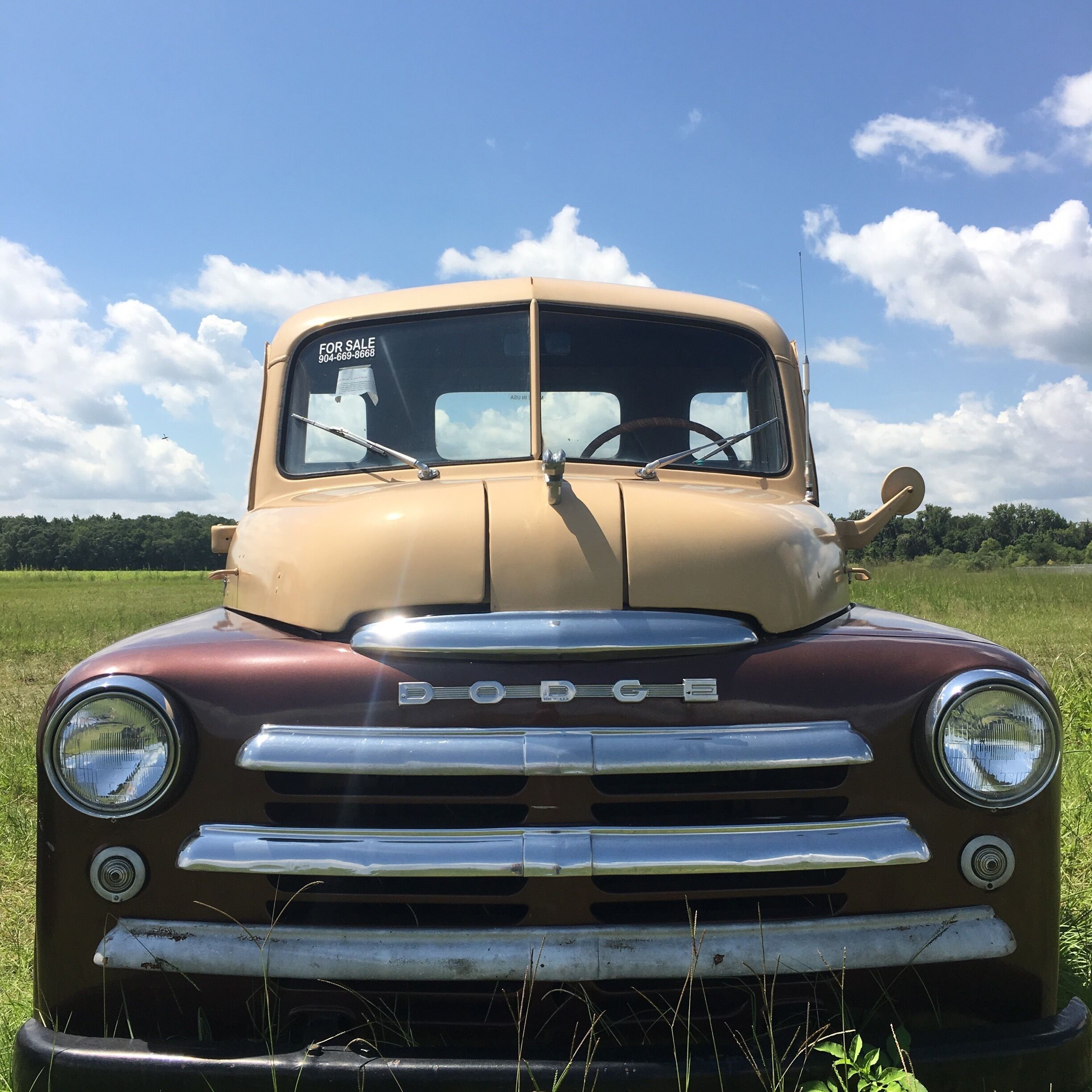 classic cars along the roadside