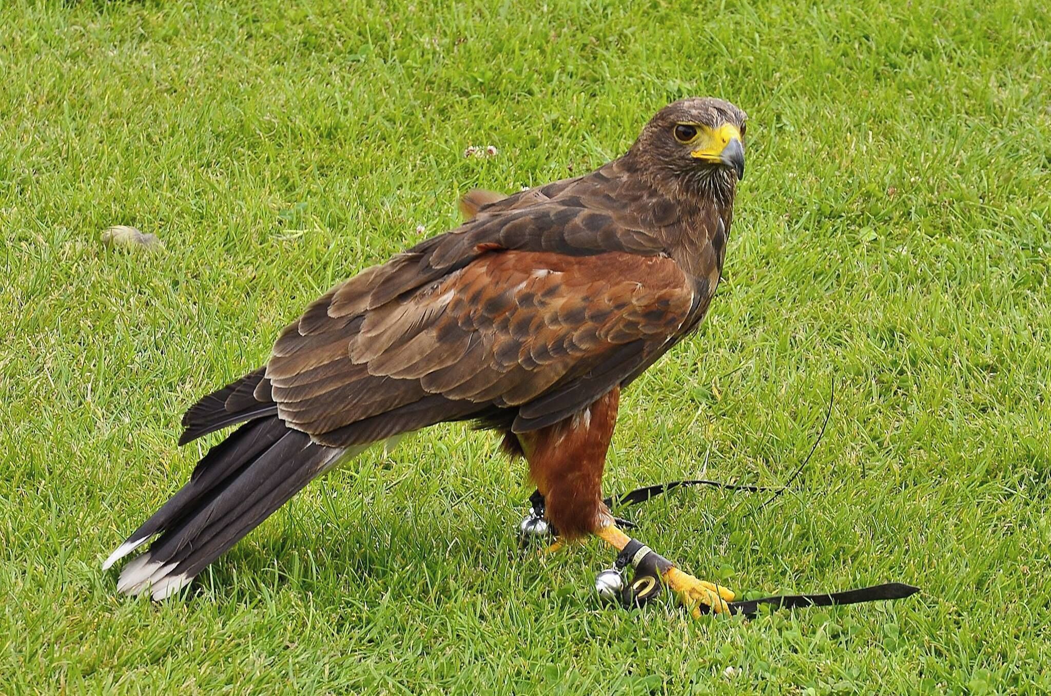 Swansea, West Wales. UK