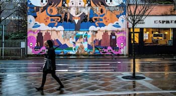 Another one of Swansea’s popular murals that sprinkled throughout the city! #Trovember #Swansea #wales #murals