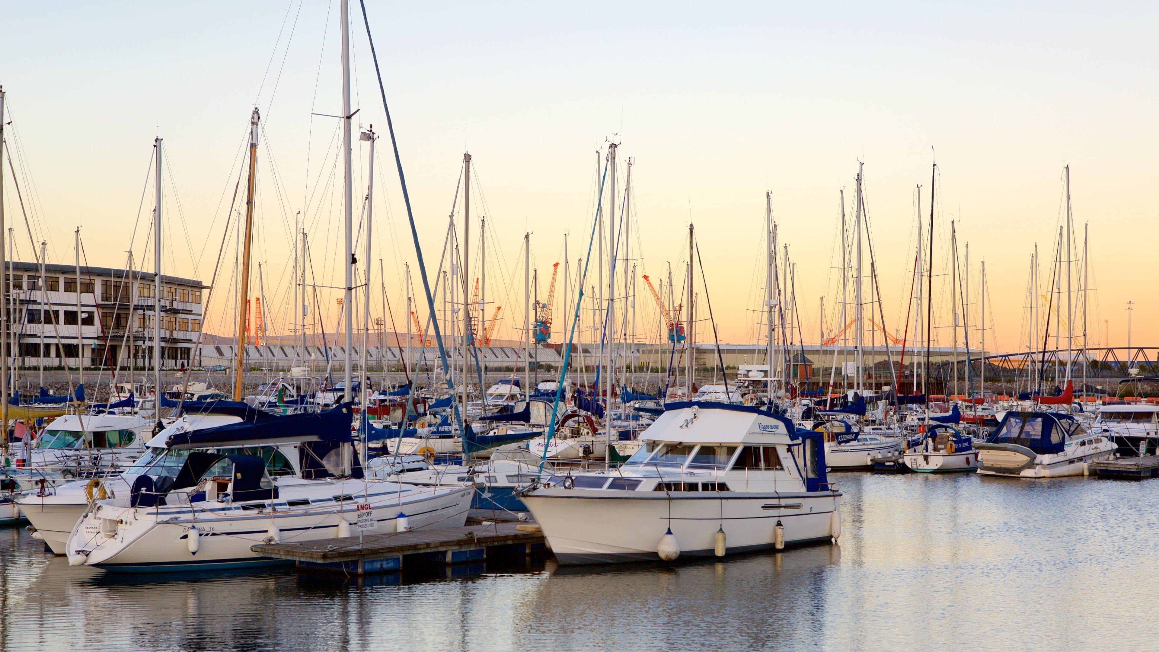 Swansea featuring a marina, boating and sailing