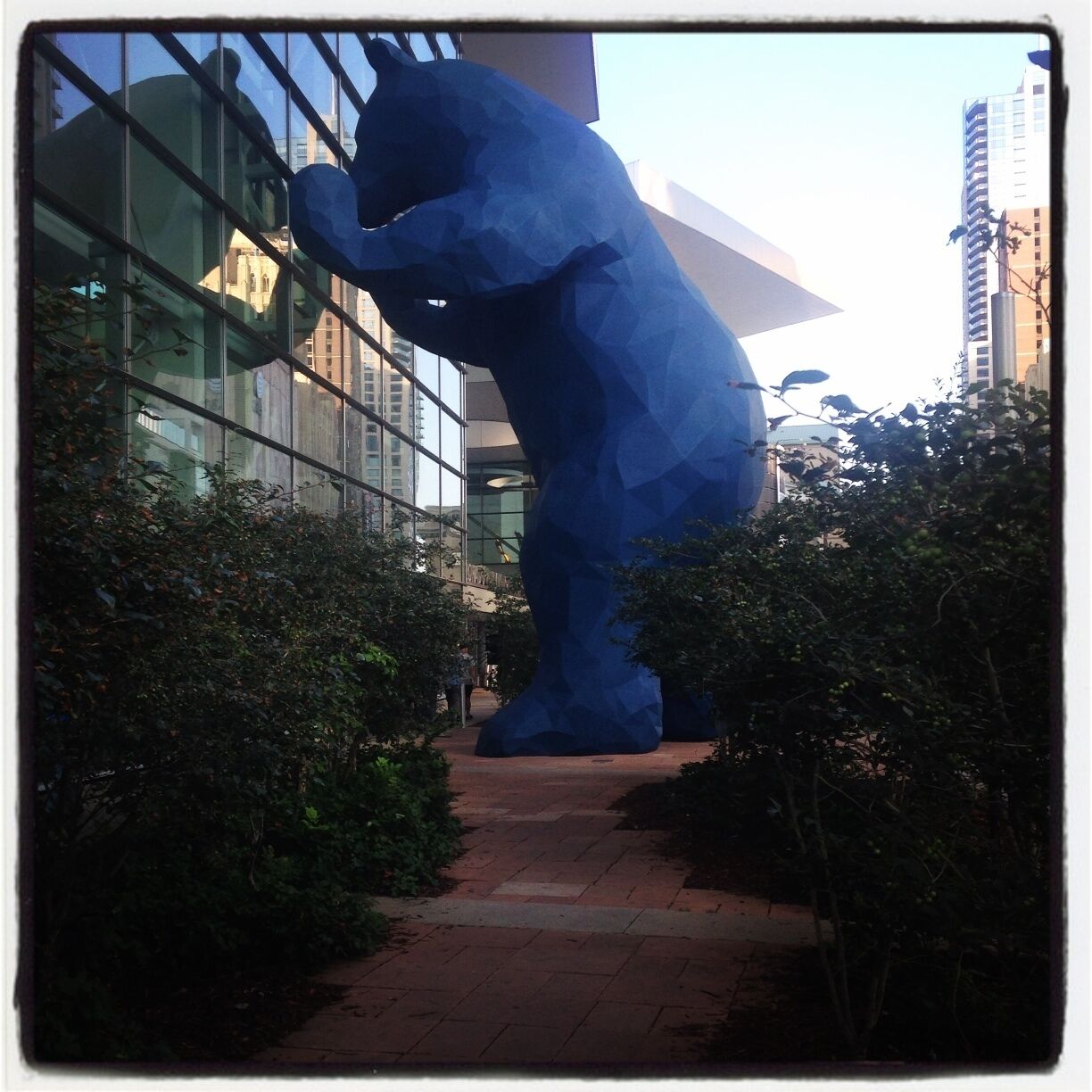 A curious 40 foot blue bear peers into the Convention Centre in the mile high city.
