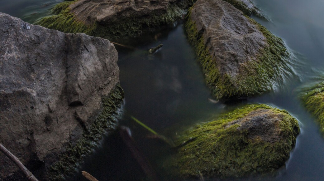 Taken a few blocks from my place just outside downtown Denver. Was hoping to catch another stormset but all I got was some blue hour light. #BVSquad #BVSBlue