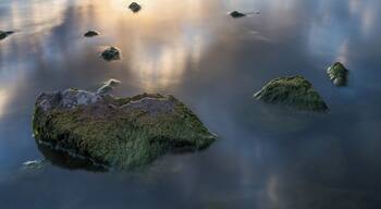 I struggled tonight with the light. I really wish I could invest in a nice filter kit, including some grad filters were I could also attach a polarizer. Here's the only decent shot. I managed. The sky was just too bright. #BVSquad