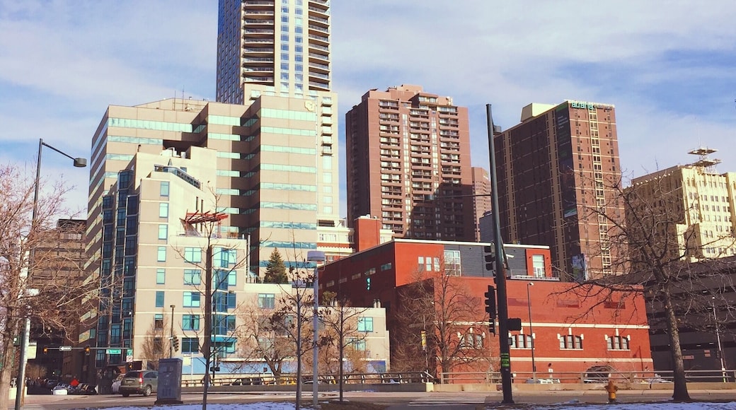 Universidad de Colorado en Denver