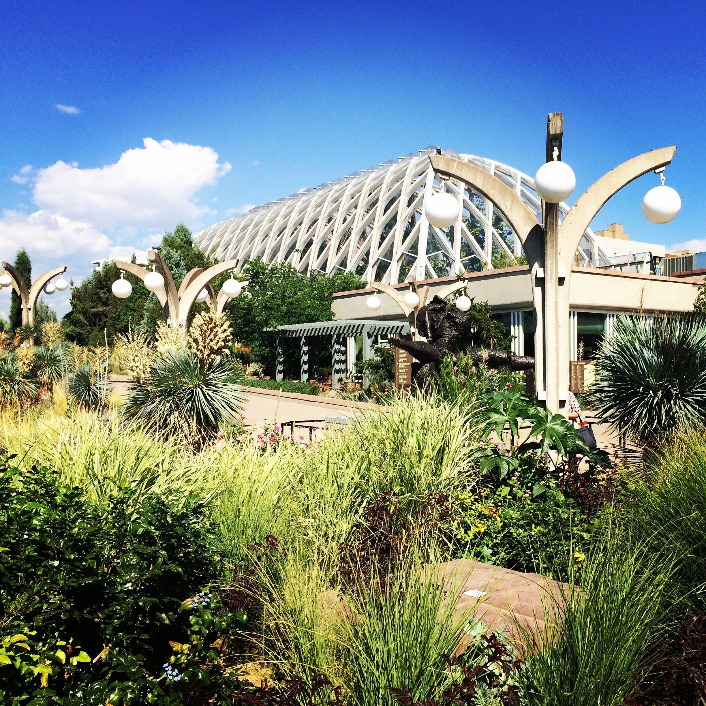 The sleek appeal of the Denver Botanical Gardens.