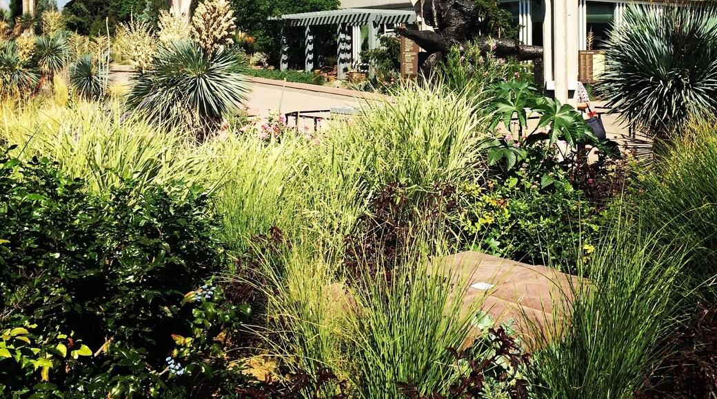 The sleek appeal of the Denver Botanical Gardens.