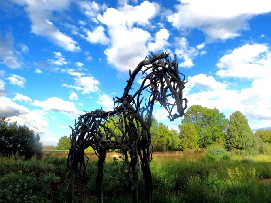 Deborah Butterfield exhibit at the Denver Botanic Gardens