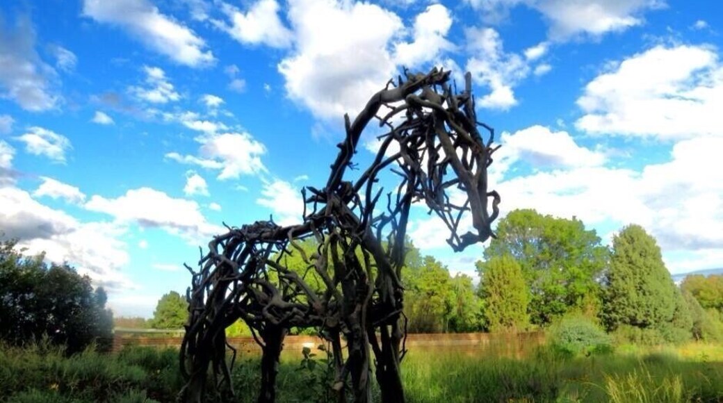 Deborah Butterfield exhibit at the Denver Botanic Gardens