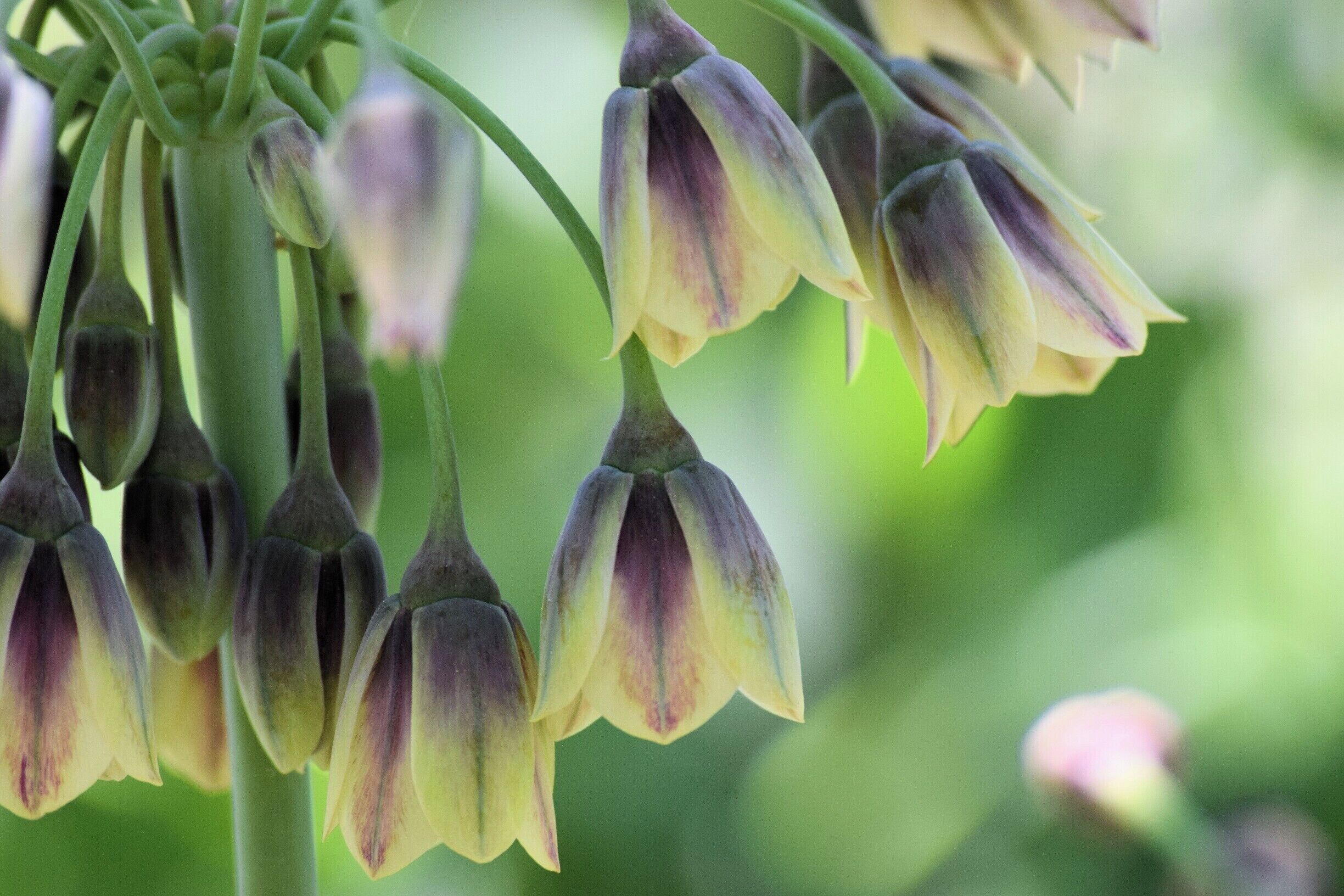 Always something to discover at DBG.