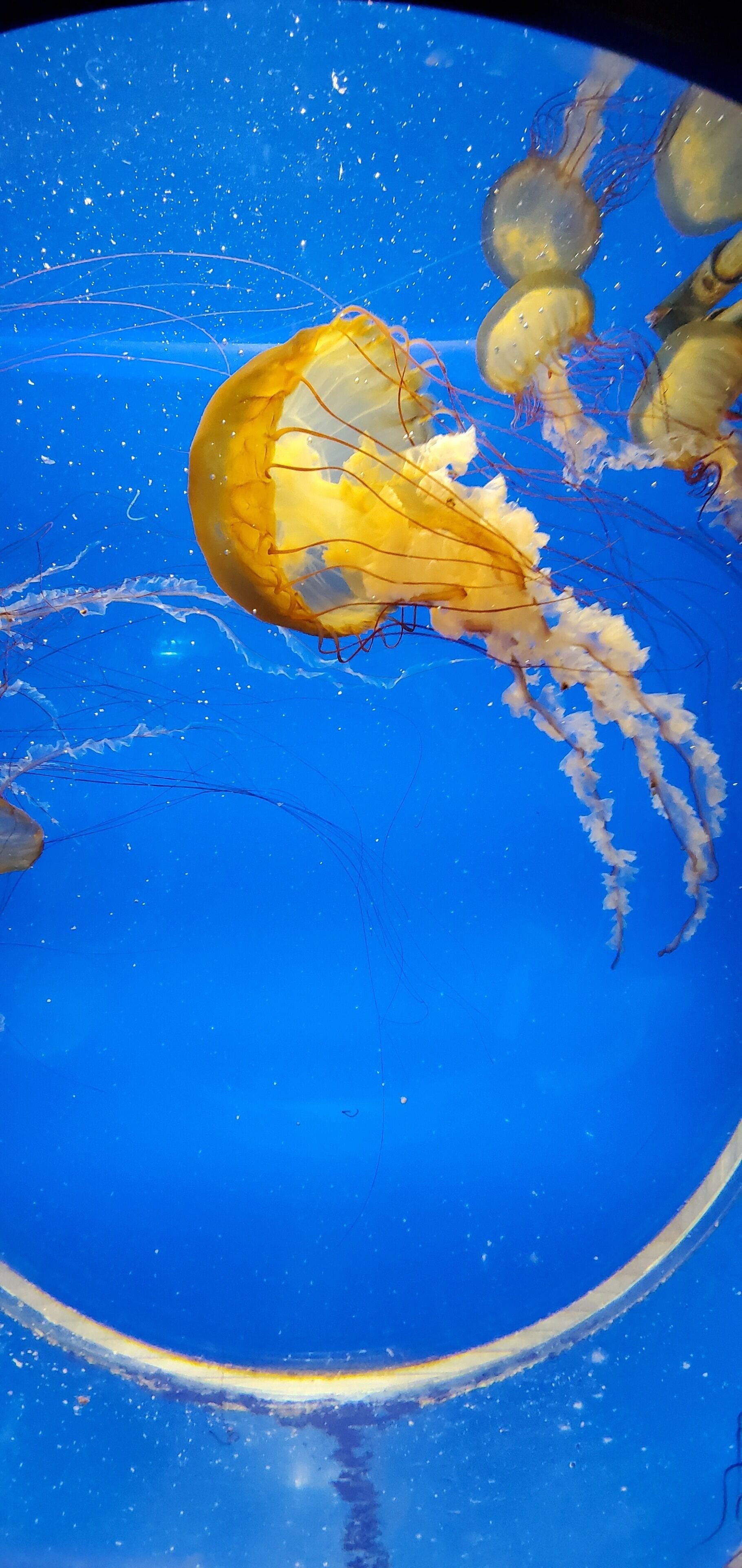 Denver sentrum akvarium