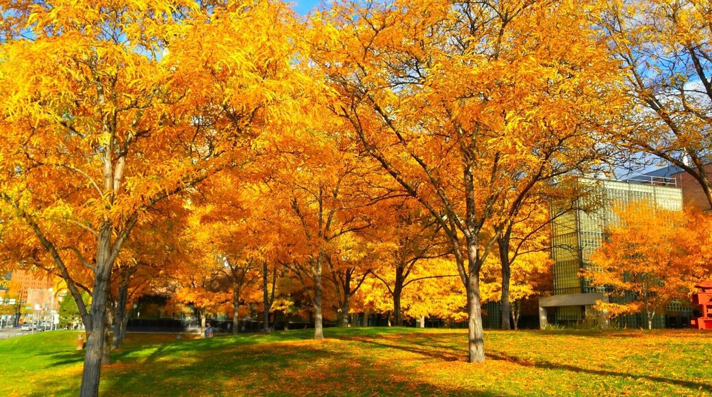 A #colorful fall on Auraria campus. Auraria also has its own brewery, one of the few in the nation on a college campus
