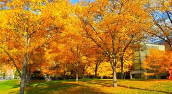 A #colorful fall on Auraria campus. Auraria also has its own brewery, one of the few in the nation on a college campus