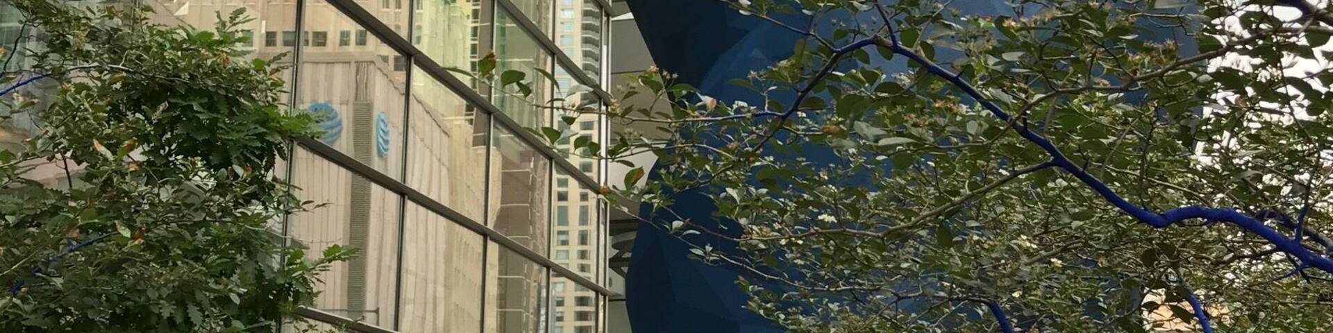 Big blue bear staring into the convention centre. A nice piece of art to brighten up the street.