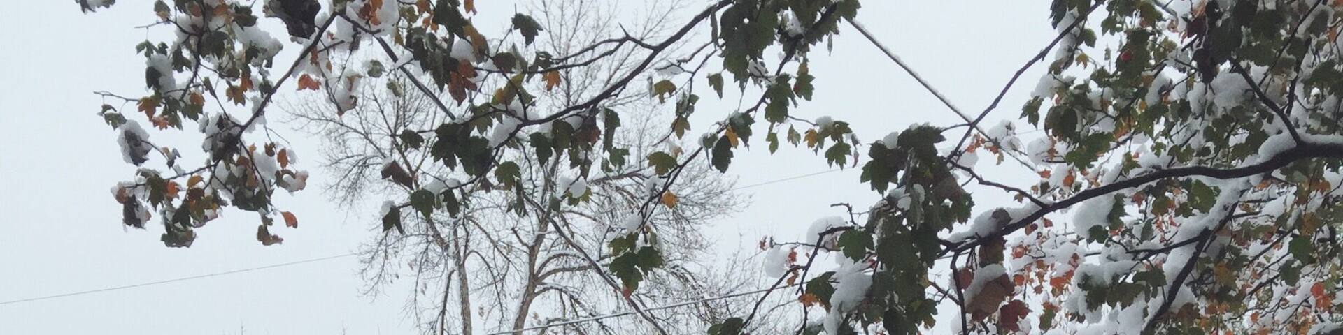 First snow of the season! I'm glad we didn't get as much as they thought we were going to get, but it was nice to enjoy the snow until the sun came out. đ€âïžâïž #denver