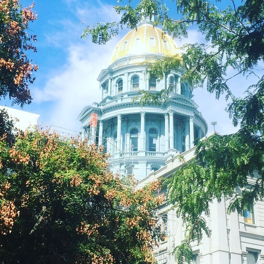 Took this on 11 Sept 2016