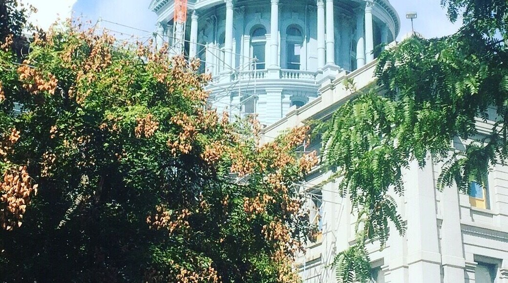 Took this on 11 Sept 2016