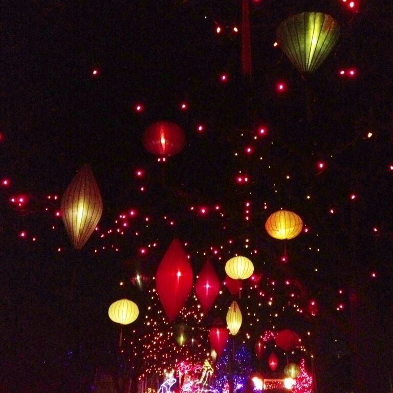 Chinese lanterns at Zoo Lights hanging in the trees. #Treetrove