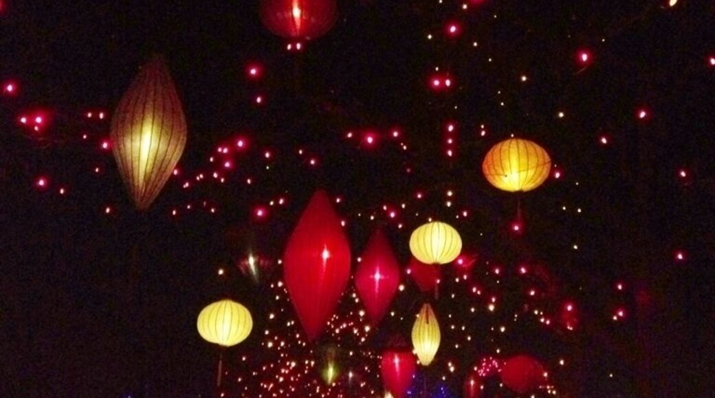 Chinese lanterns at Zoo Lights hanging in the trees. #Treetrove