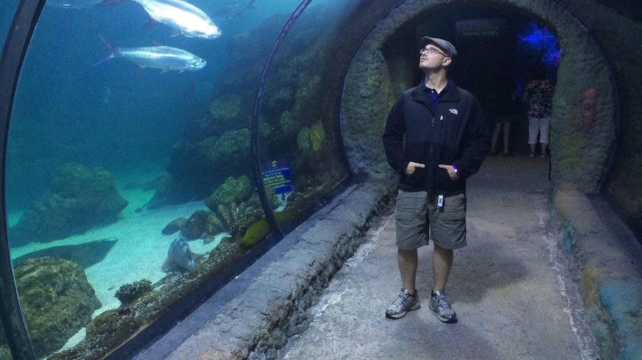 Downtown Aquarium de Denver