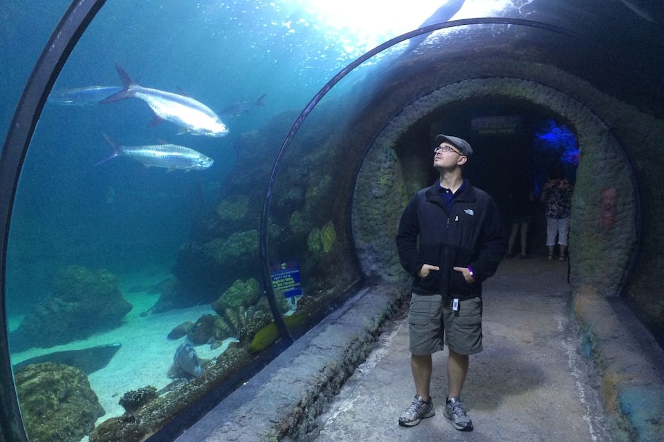 Uma pessoa parada em um túnel com um aquário em um dos lados.
