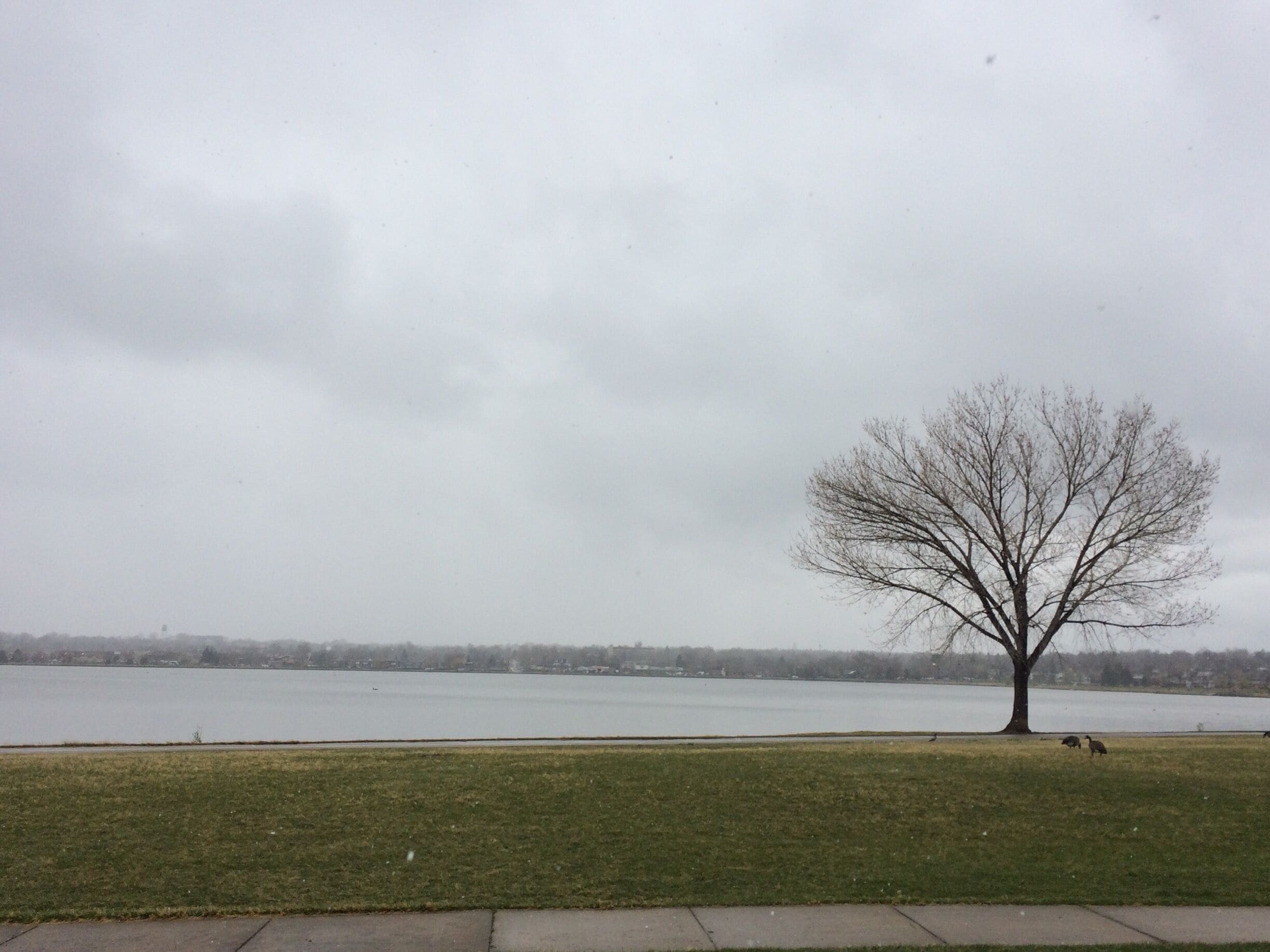 The view is amazing right in front of our new apartment)) 