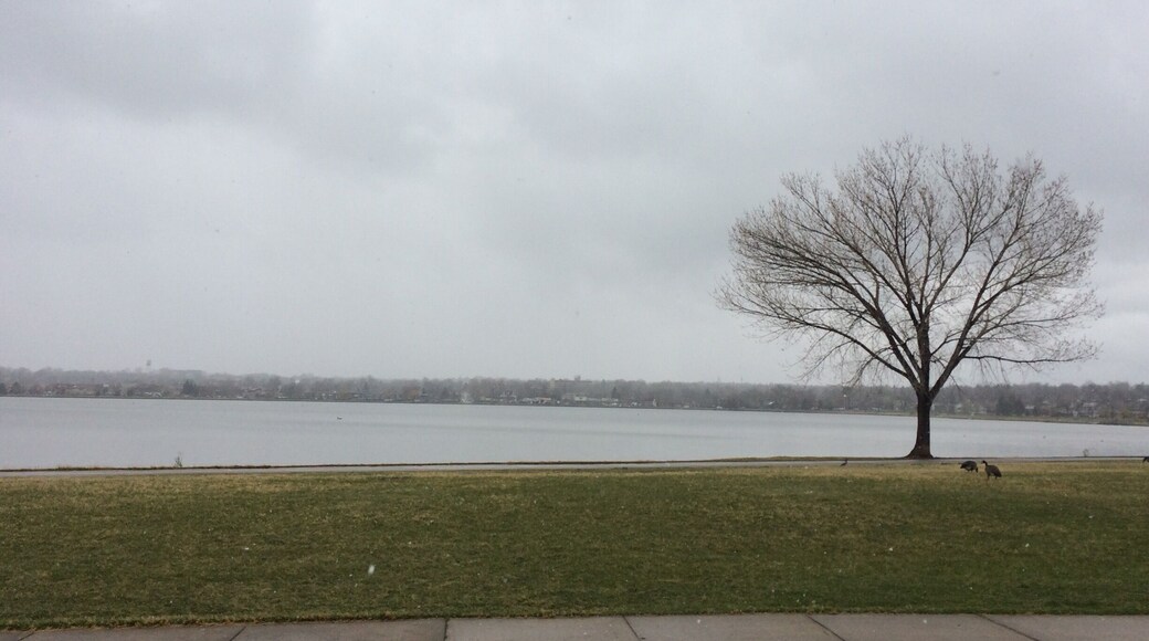 The view is amazing right in front of our new apartment))