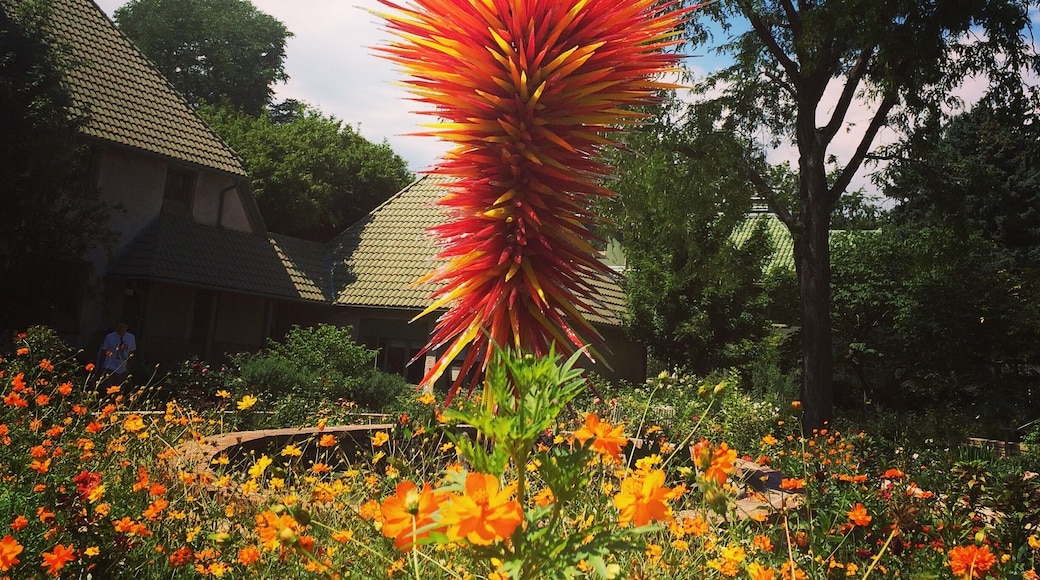 A glass thorn in a garden of flowers.