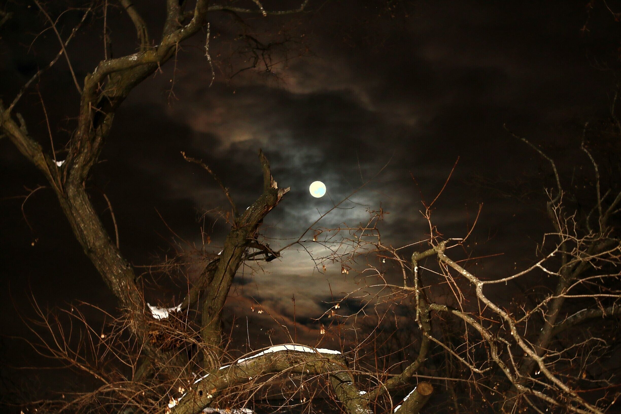 Night is beautiful for those who could feel it rather than just see it.!!

#nightphotography #mooncapture #canon70d #dslrphotography #natgeo #natureatitsbest #nightisbeautiful