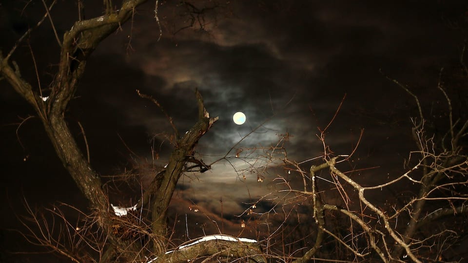 Night is beautiful for those who could feel it rather than just see it.!!
#nightphotography #mooncapture #canon70d #dslrphotography #natgeo #natureatitsbest #nightisbeautiful