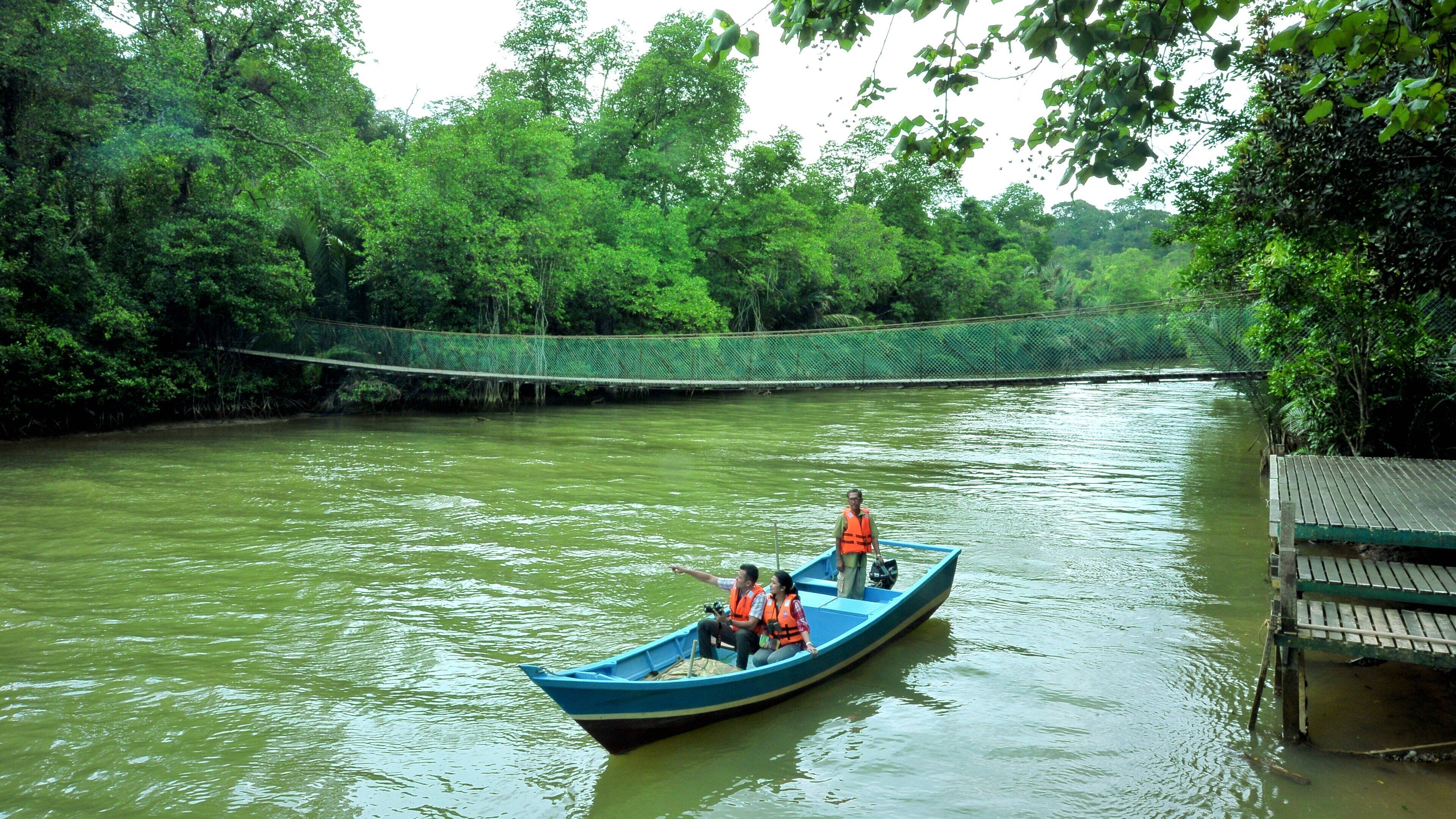 Taman Negara National Park showing kayaking or canoeing and a river or creek