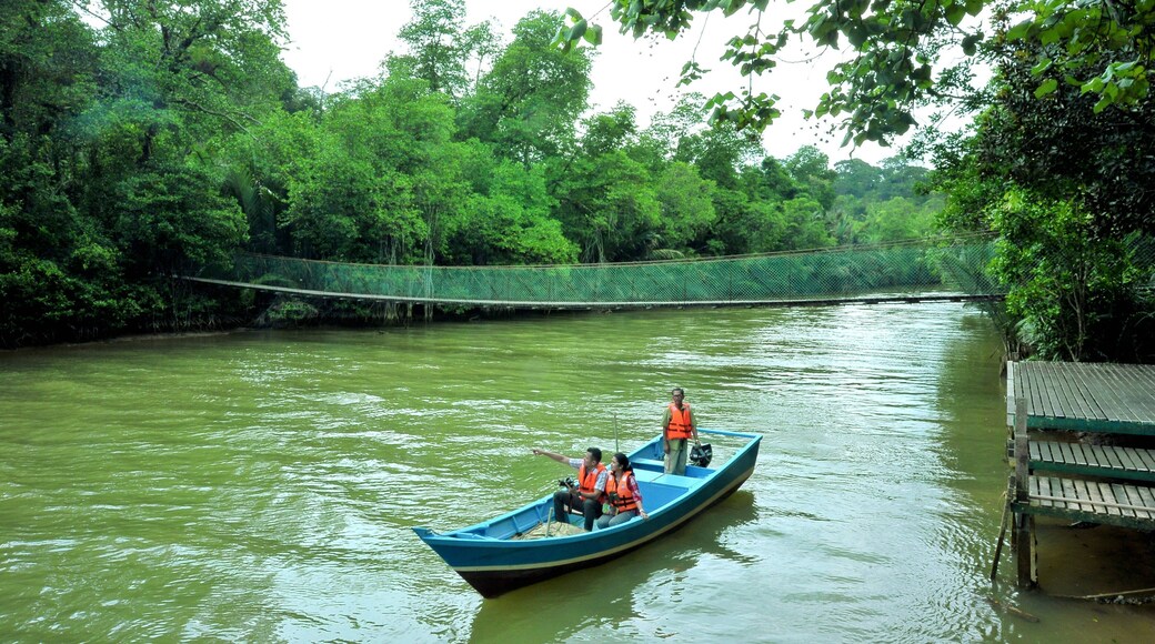 Taman Negara National Park showing kayaking or canoeing and a river or creek