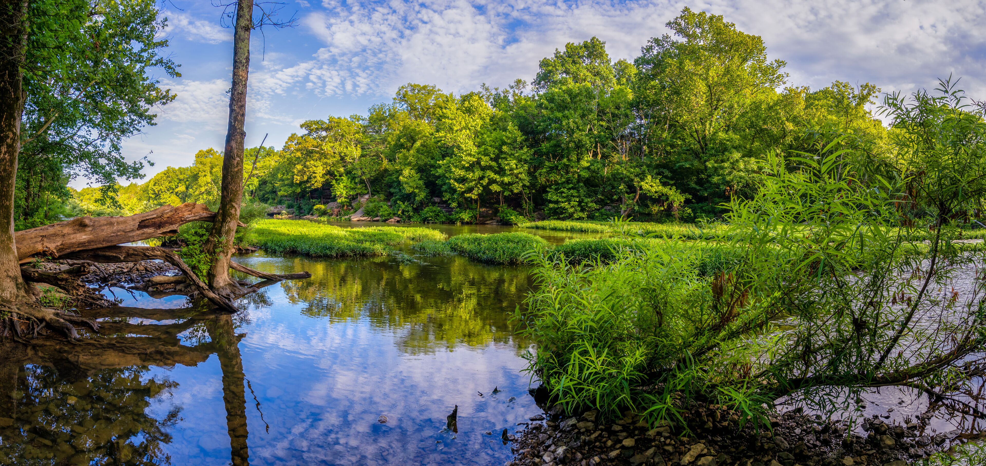 A serene river surrounded by lush greenery and trees.