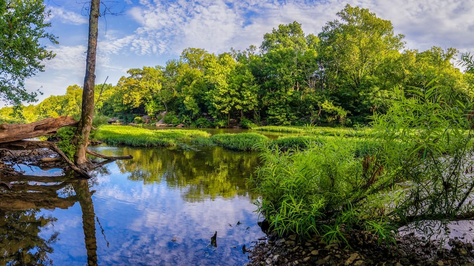 A serene river surrounded by lush greenery and trees.