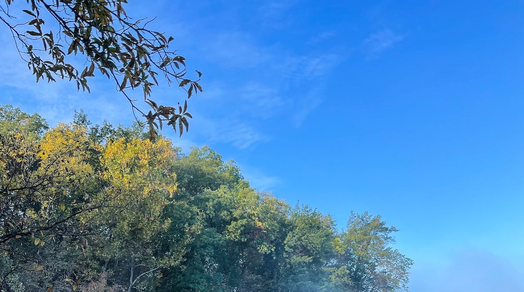 Fog on a Lake in Parkville, Missouri