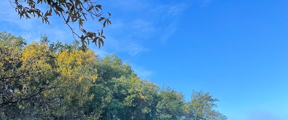 Fog on a Lake in Parkville, Missouri