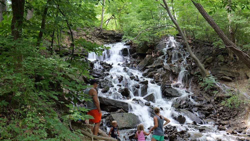 Waterfall at Parkville Nature Sanctuary