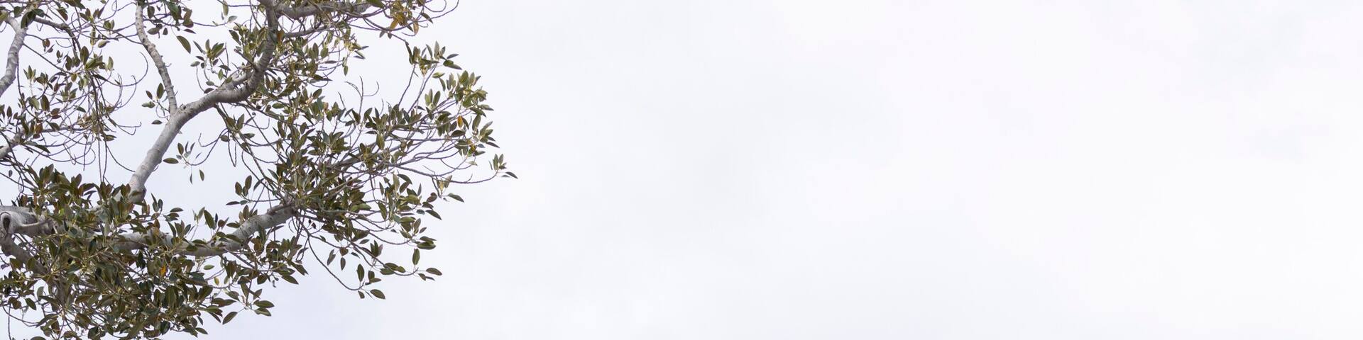 Cloudy afternoon sun shines on historic buildings in the heart of downtown Santa Paula, California, USA.