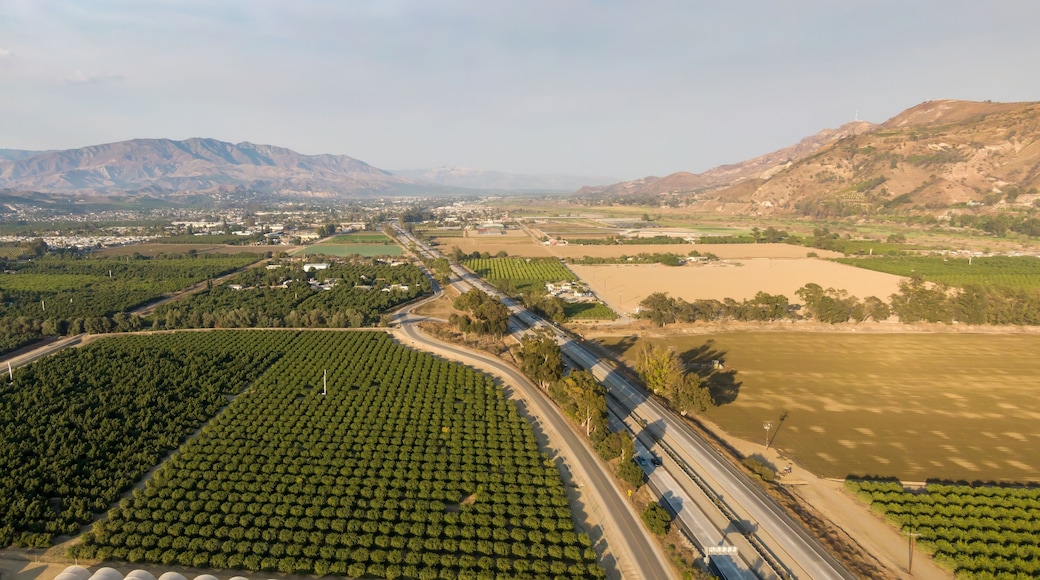 سانتا باولا